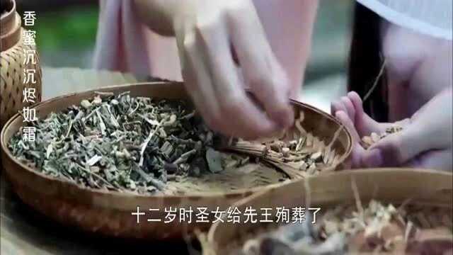 锦觅仙子下凡历劫,每次采药都会下雨,众人都惊呆了!