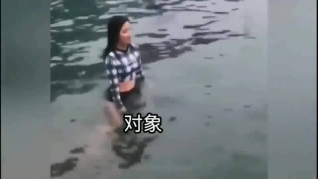 全网最沙雕女的游泳姿势