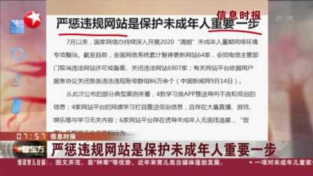 信息时报:严惩违规网站是保护未成年人重要一步