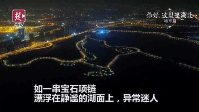 你好,这里是湖北之城市篇:武汉东湖绿道的夜景美哭了!