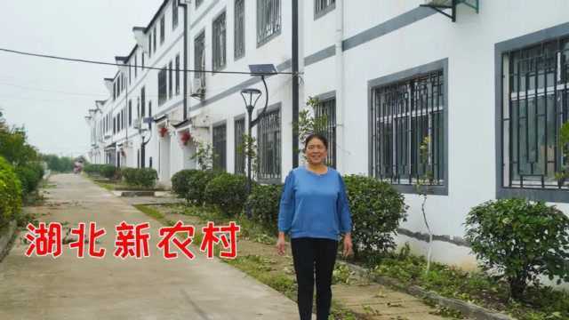 实拍湖北这个新农村真漂亮!三层带小院,30万一栋真让人羡慕