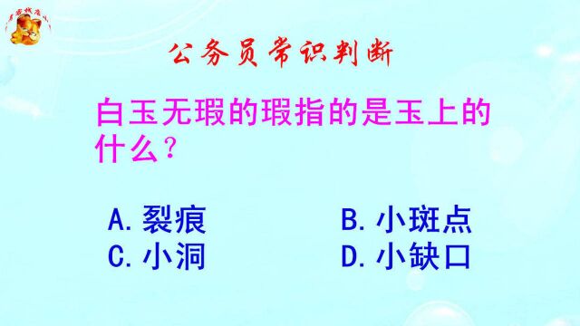 公务员常识判断,白玉无瑕的瑕指的是玉上的什么?难倒了本科生