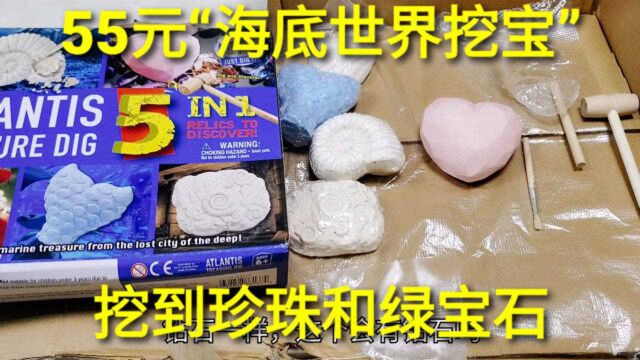 55元全套“海底世界挖宝”,5大贝壳系列,挖到了珍珠和绿色水晶