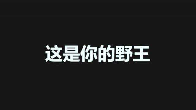 王者荣耀:野王打的正激烈时,辅助互相挠痒太真实了!