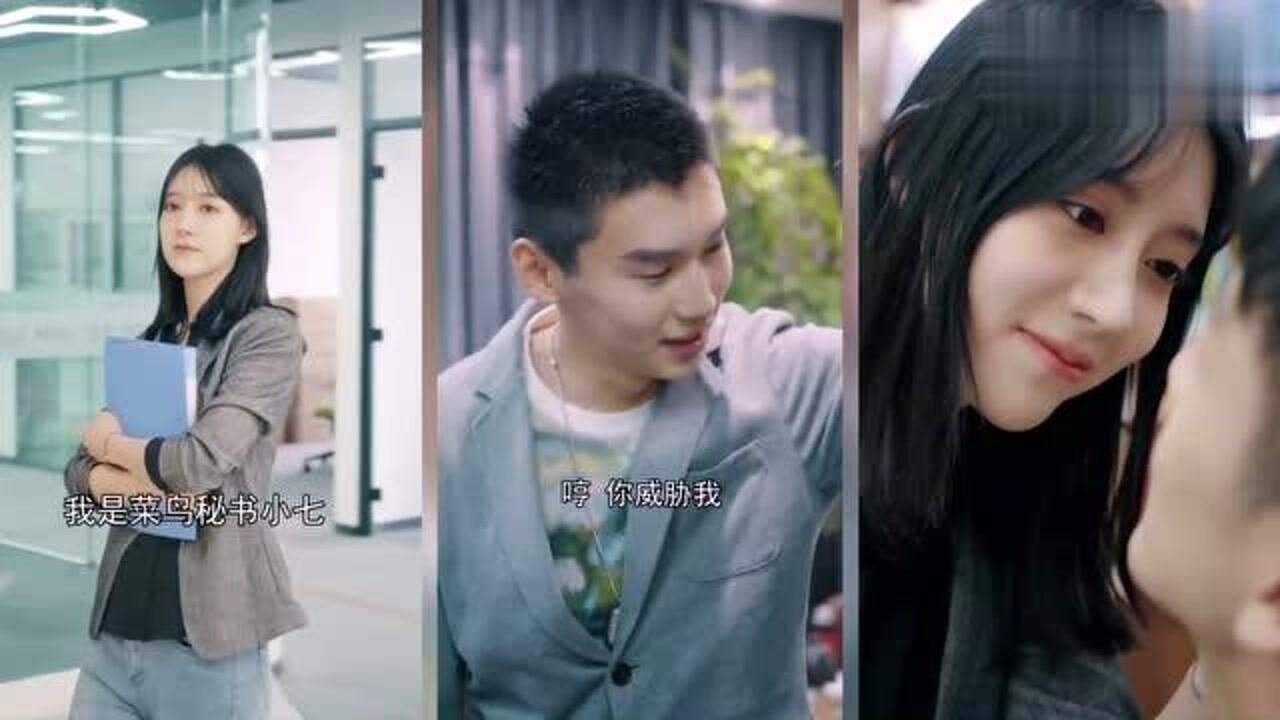 菜鸟秘书小七老板到底想对我说什么话呢