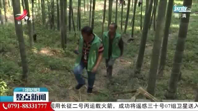 多渠开源提收入 让农民“钱袋子”鼓起来