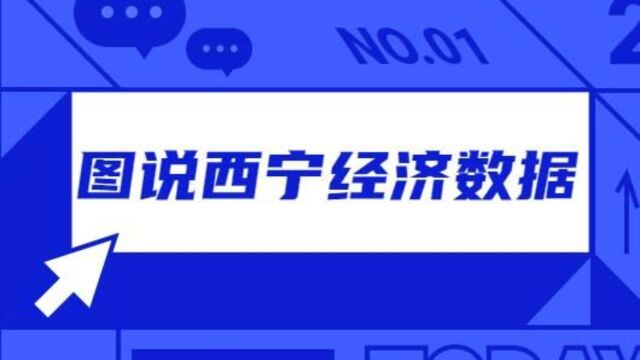 西宁市规模以上工业企业经济效益有所好转