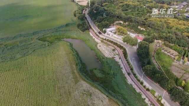 加快推进黄河两岸综合治理 保护生物多样性