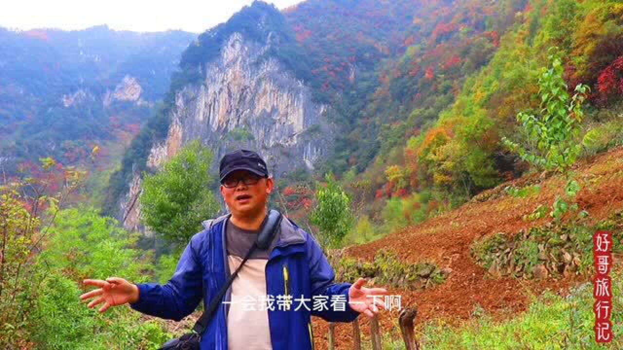 秦岭深山一户人家,老房子四周被红叶围绕,原生态环境如世外桃源