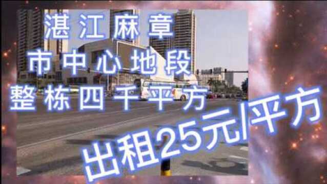 湛江麻章市中心地段4000平方每个月租金10万出租