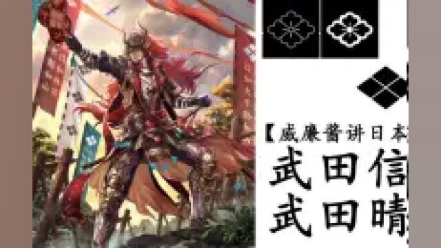 【威廉酱讲日本家纹】武田信玄 武田晴信 甲斐の虎!用的图案是最多的