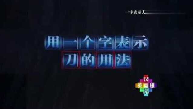 汉字英雄:一个字表示刀的用法,男孩写出“阉”,高晓松:这不拿刀还真不行