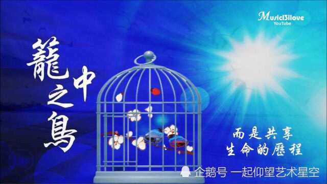 百合二重唱《笼中之鸟》,配图音乐欣赏