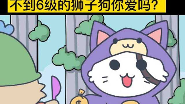 这样的狮子狗你想吗?