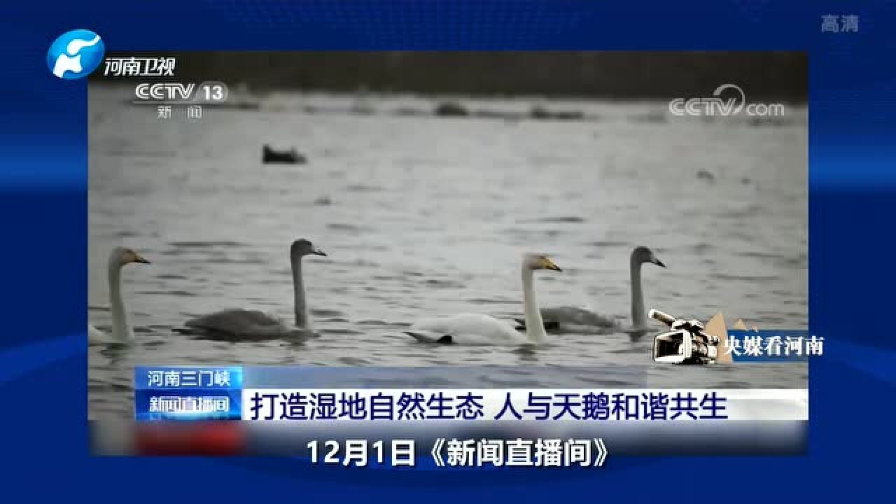 央媒关注三门峡生态湿地、公交村村通和美丽乡村建设等情况