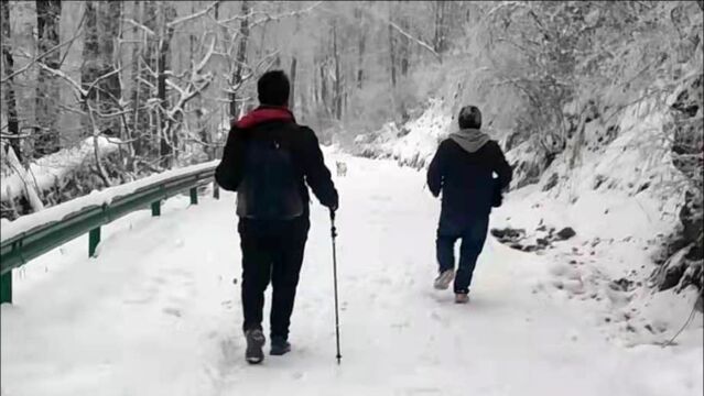 网友去西安秦岭爬山赏雪,下山时连续摔跤非常危险,多亏终南隐士把冰爪借他