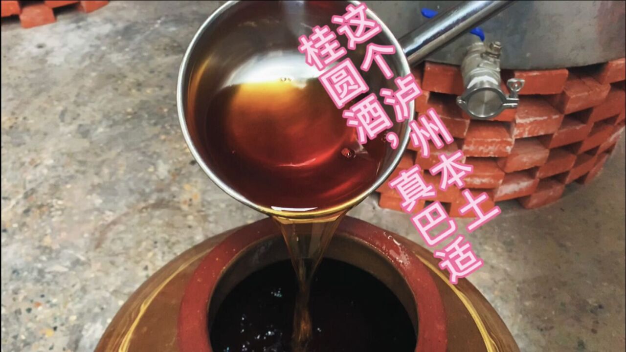 泸州泡酒哪家强?乡咔咔头寻佳酿,这个桂圆酒有点巴适