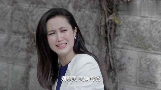 棒棒的幸福生活:天上掉下玻璃,美女不担心性命,却担心包包