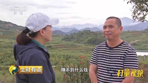 有什么投资赚钱的门道