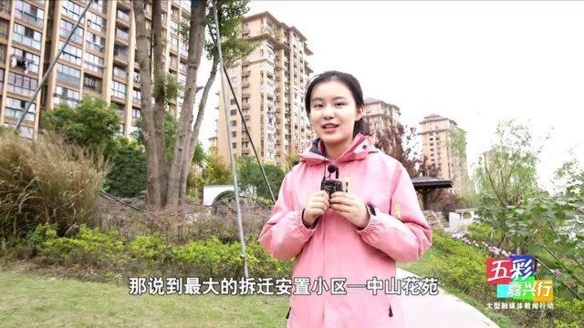 五彩嘉兴行乍浦金色