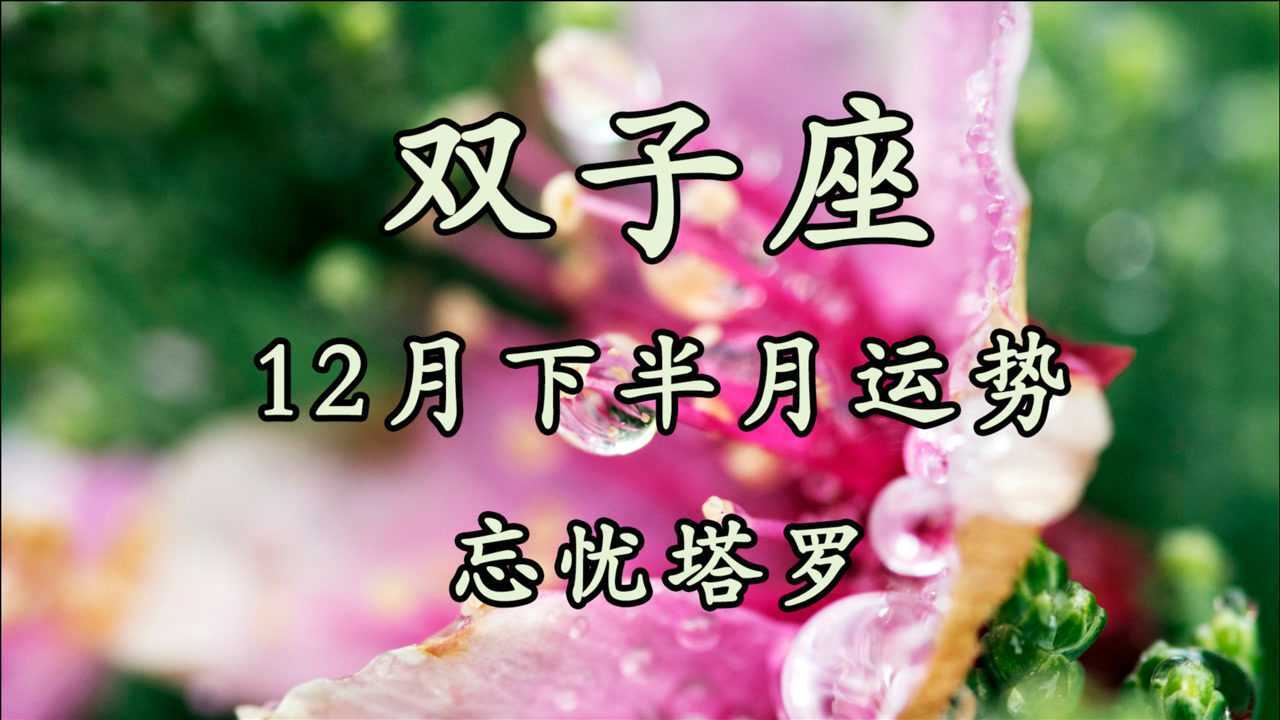 忘忧塔罗双子20年12月下半月运势不爱就是不爱强求没有结果