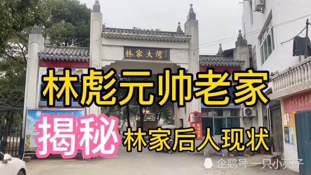 实拍林家大湾,林彪元帅后人今何在,原配夫人陕西米脂人还在世?