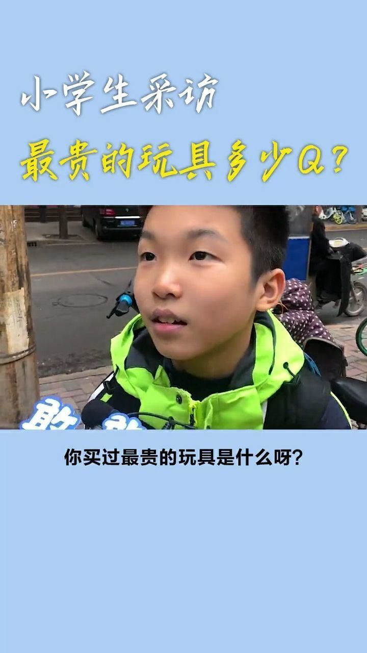 你买贵最贵的玩具多少q