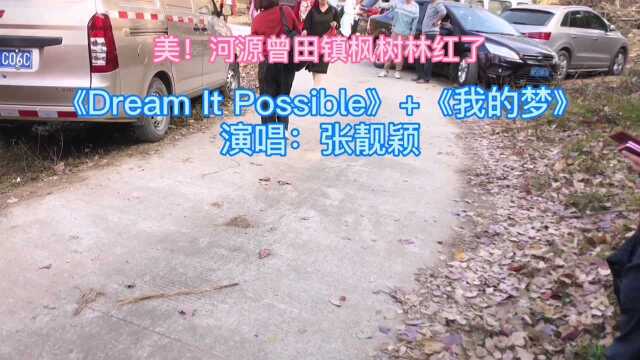 #黑夜与人间烟火#《Dream lt possible》+《我的梦》演唱:张靓颖!河源市乐徒户外河源曾田镇枫树林徒步活动2020.12.26#