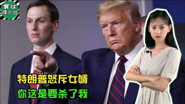 特朗普曾怒骂女婿库什纳:你敢鼓励民众戴口罩?你这是要杀了我!