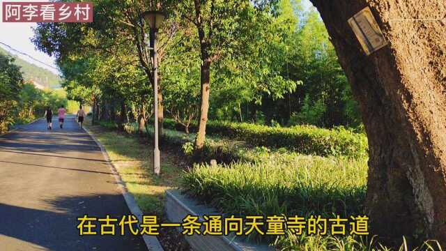 宁波小白岭古道上的附属建筑太平庵和吉祥亭,亭内石柱字刻是亮点