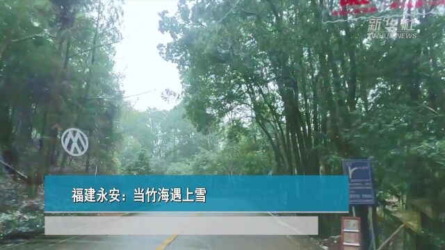 福建永安:当竹海遇上雪