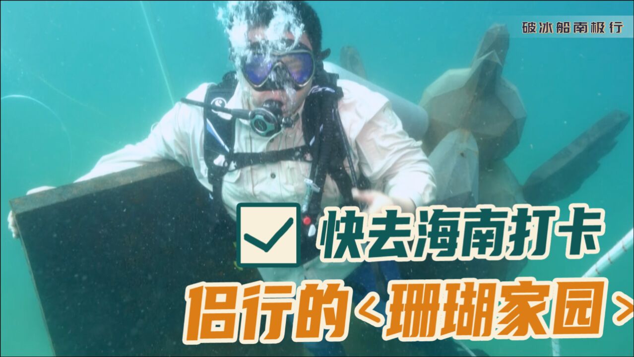 科研人员种下珊瑚,沉海机库变成珊瑚礁