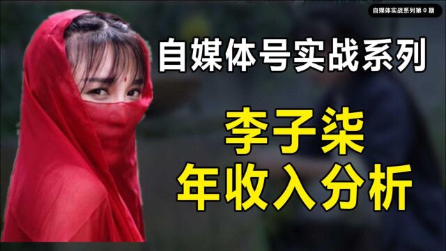 自媒体实战系列序章,李子柒小翔哥李永乐老师等大网红年收入分析