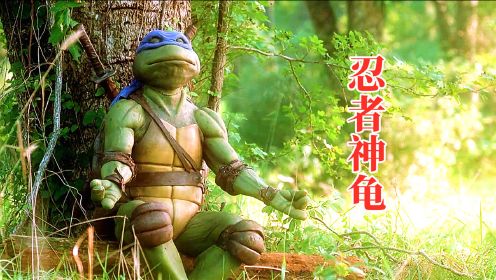 小乌龟拜老鼠为师，学习功夫，成为忍者神龟，喜剧动作电影