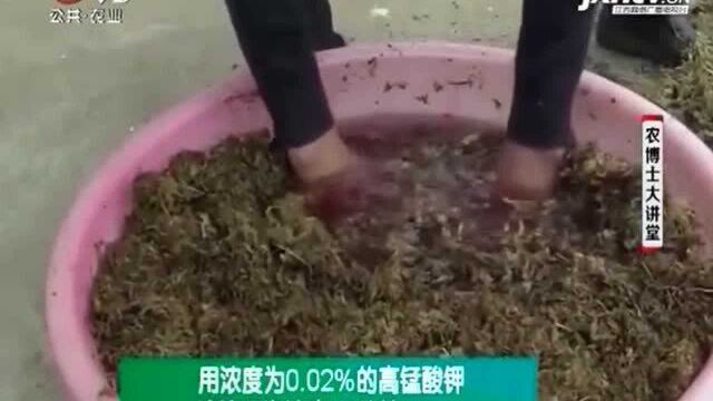 高空压条可以在三到四月繁殖 成活率很高 三到五年后便能开花