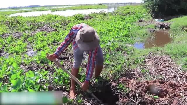 “捕鱼神洞”号称史上最牛的捕鱼方式,农村大叔就靠它每天都能收获满满!