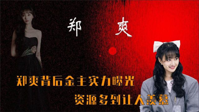 郑爽背后金主实力曝光?资源多到让人羡慕,连冯小刚都要毕恭毕敬