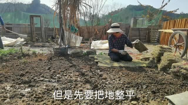 改造小院有鲜花怎能没有绿草,铺上草皮院子立即变的高大尚