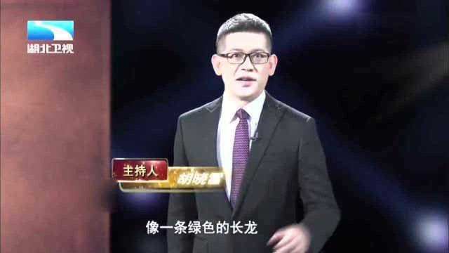 古史奇谈:揭秘曾是一片不毛之地的塞罕坝,是如何从荒漠变成绿洲的!