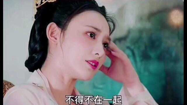 东宫:没有说出口的话终究成了遗憾