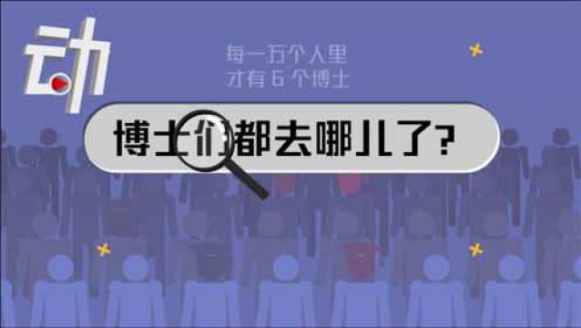 1万人里约有6个博士:中国博士毕业都去哪了?