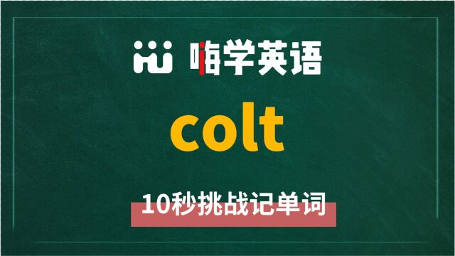 英语单词colt是什么意思,同根词有吗,同近义词有哪些,相关短语呢,可以怎么使用,你知道吗