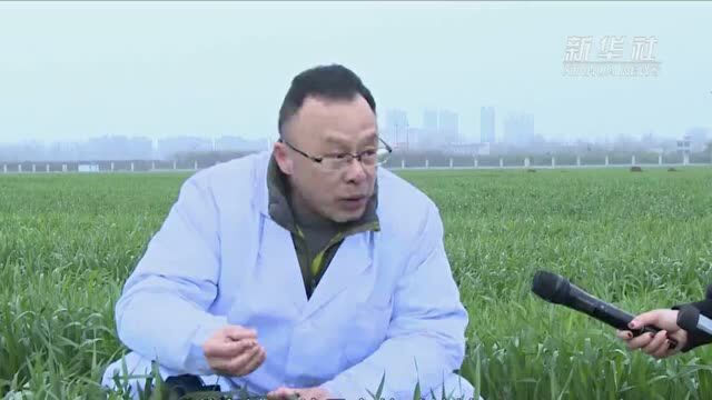 从“高产”到“优质” 农业大省河南奏响“春耕交响曲”