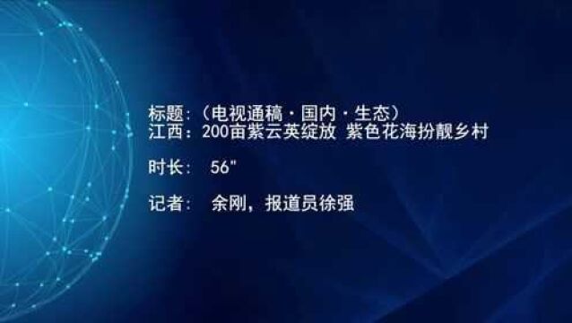 (电视通稿ⷥ›𝥆…ⷧ”Ÿ态)江西:200亩紫云英绽放 紫色花海扮靓乡村