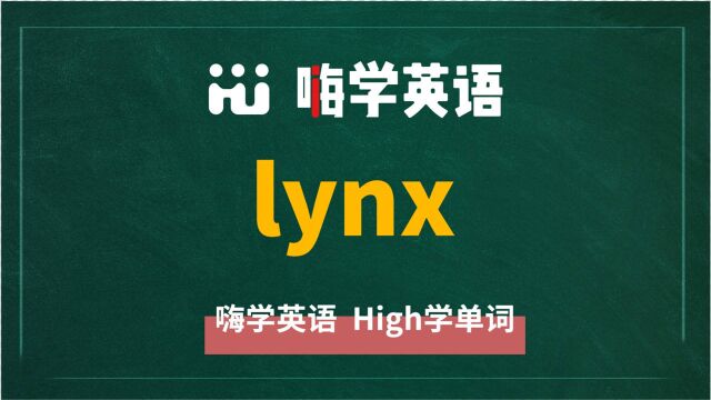 英语单词lynx讲师讲解,动动脑袋想一想,这个单词它是什么意思,可以怎么使用