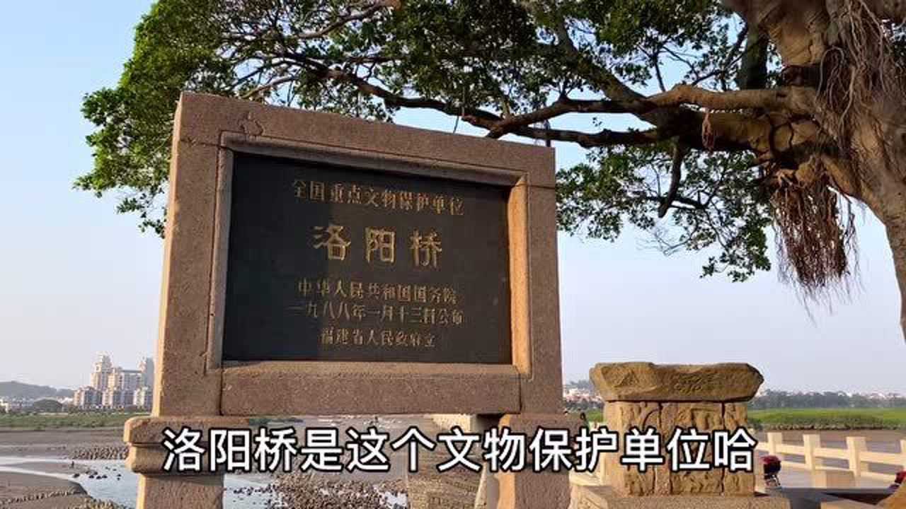 实拍福建泉州洛阳桥,用石块砌成的跨海大桥,几百年海水都冲不走,太神奇了