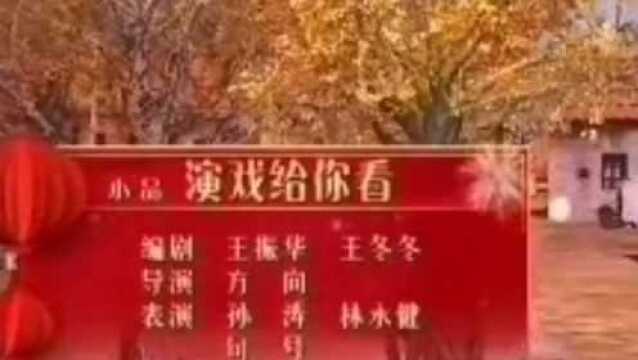 小品《演戏给你看》,孙涛 林永健 句号