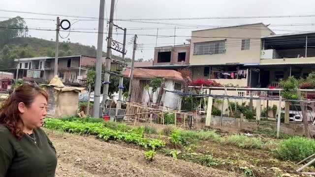 广东省佛山市合水镇重庆建三峡水电站移民村第19年了,每人差不多8分田