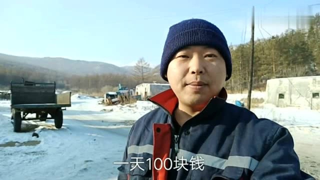 农村冬季怎么挣钱?一天100块钱,农村生活不容易啊