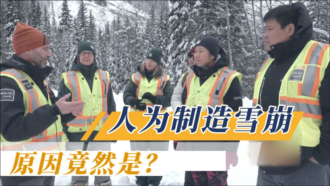 闯荡冰雪中的森林公园,人人必带定位器